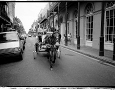 New Orleans Horse and Carriage